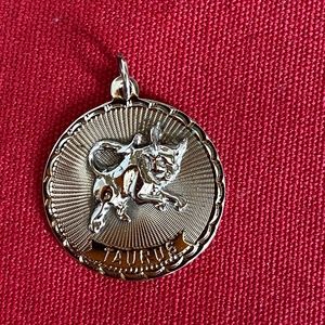Jeanor I Sterling I Taurus I Bull I Zodiac Charm